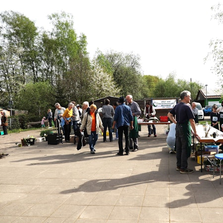 Pflanzentauschbörse in Burscheid