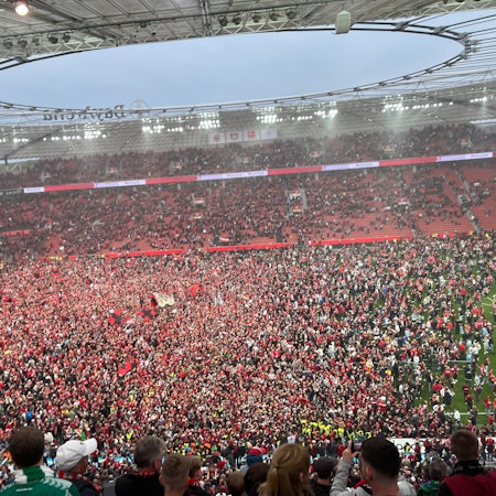 Fans haben nach Spielende den Platz gestürmt.