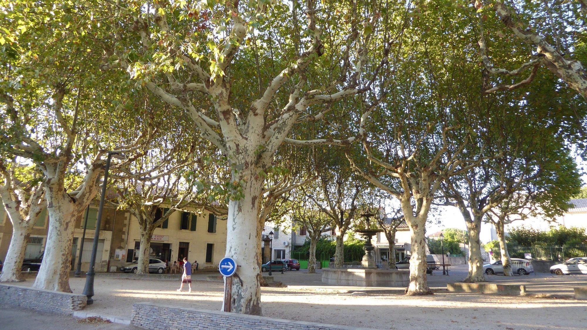 Blick auf den Baumplatz in Russan, nördlich von Nimes in Frankreich. Eine Visualisierung der Pläne für den Waidmarkt gibt es noch nicht.