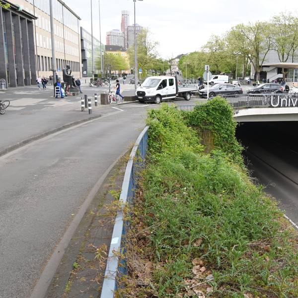 15.04.2024 Köln. Die Stadt will ihre Flächen des Albertus-Magnus-Platzes neugestalten. Foto: Alexander Schwaiger