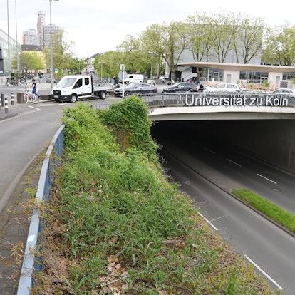 15.04.2024 Köln. Die Stadt will ihre Flächen des Albertus-Magnus-Platzes neugestalten. Foto: Alexander Schwaiger