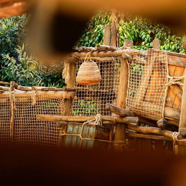 Blick in die neue Attraktion im Phantasialand.