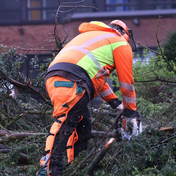 Umgestürzte Bäume beschäftigten am frühen Montagabend die Einsatzkräfte in Oberberg, als ein kurzes, aber heftiges Unwetter über das Kreisgebiet brauste. Unser Foto zeigt einen Waldarbeiter beim Zersägen eines solchen Baumes.