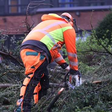 Umgestürzte Bäume beschäftigten am frühen Montagabend die Einsatzkräfte in Oberberg, als ein kurzes, aber heftiges Unwetter über das Kreisgebiet brauste. Unser Foto zeigt einen Waldarbeiter beim Zersägen eines solchen Baumes.