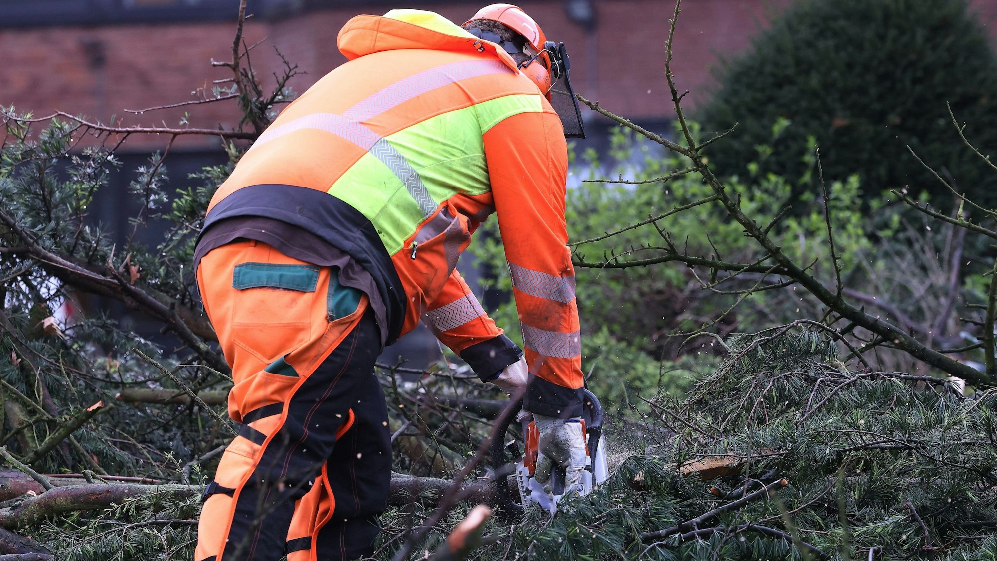Umgestürzte Bäume beschäftigten am frühen Montagabend die Einsatzkräfte in Oberberg, als ein kurzes, aber heftiges Unwetter über das Kreisgebiet brauste. Unser Foto zeigt einen Waldarbeiter beim Zersägen eines solchen Baumes.