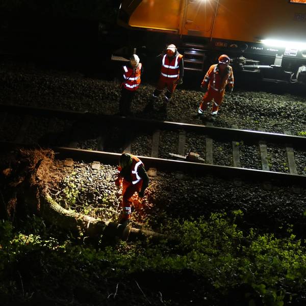 Arbeiter auf Bahngleisen stehen neben einem Baumstamm.