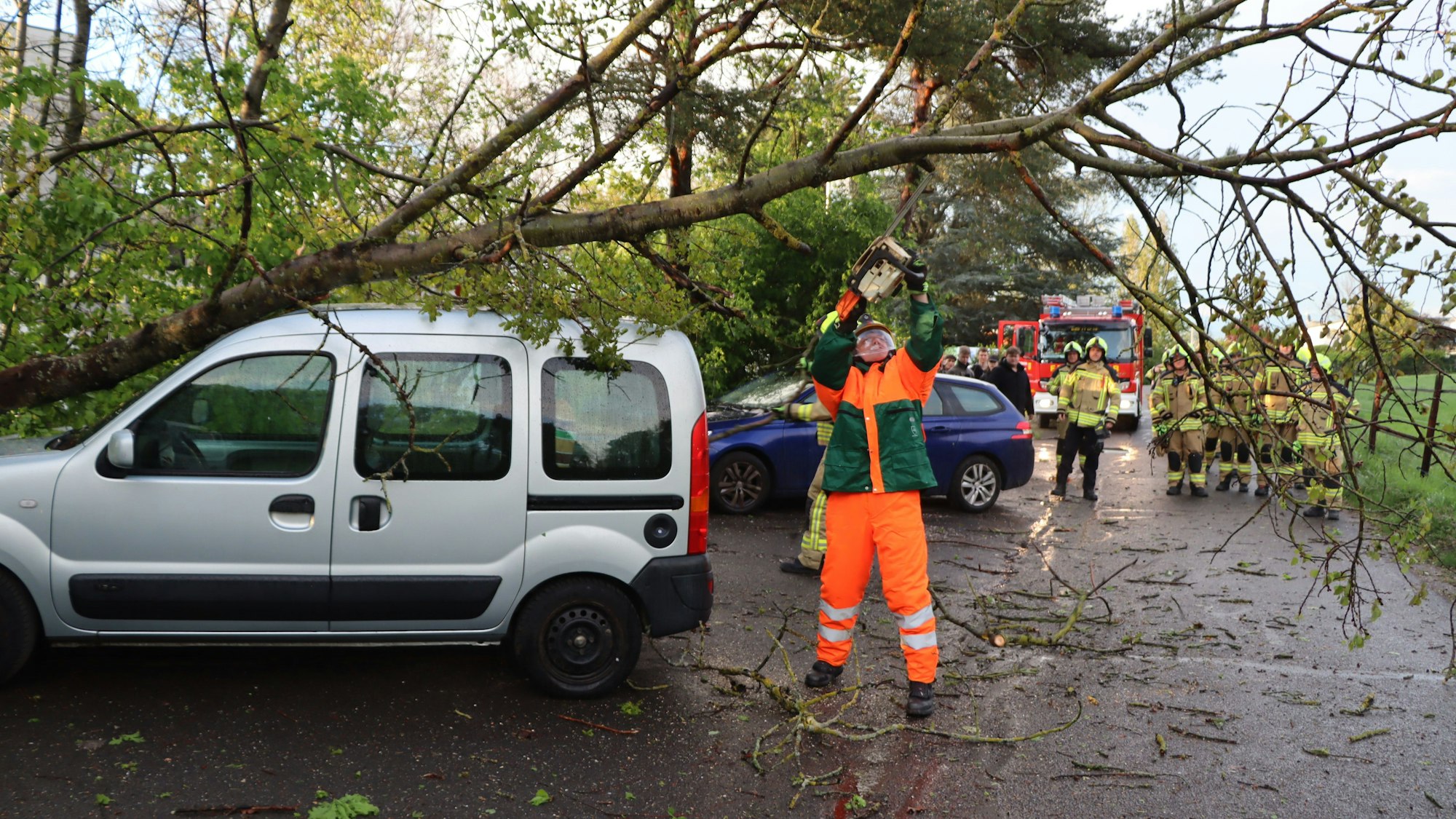 Auf dem Foto ist ein Feuerwehrmann zu sehen, der einen Ast absägt.