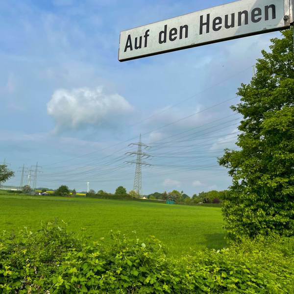 Die Wiese Auf den Heunen