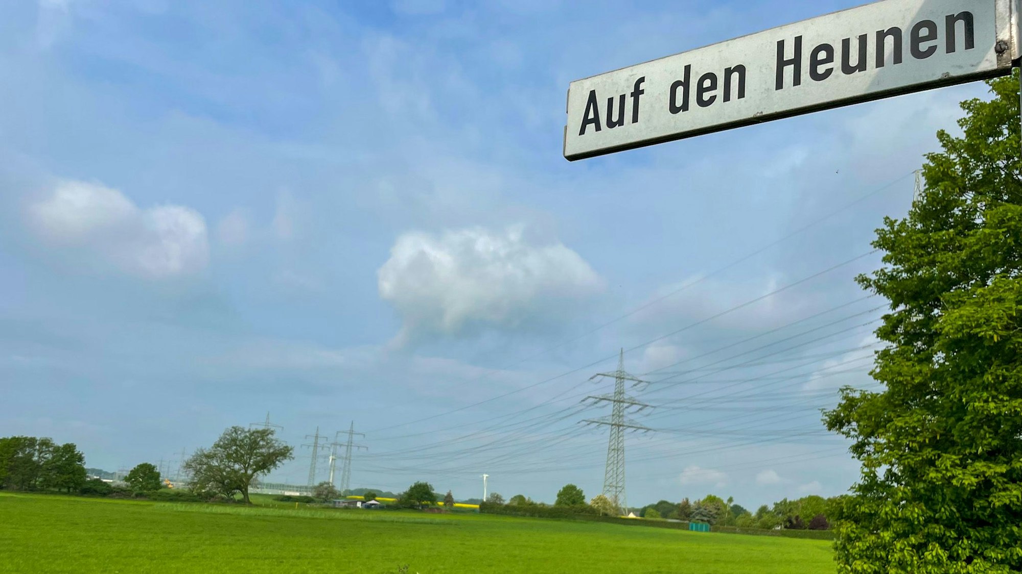 Die Wiese Auf den Heunen