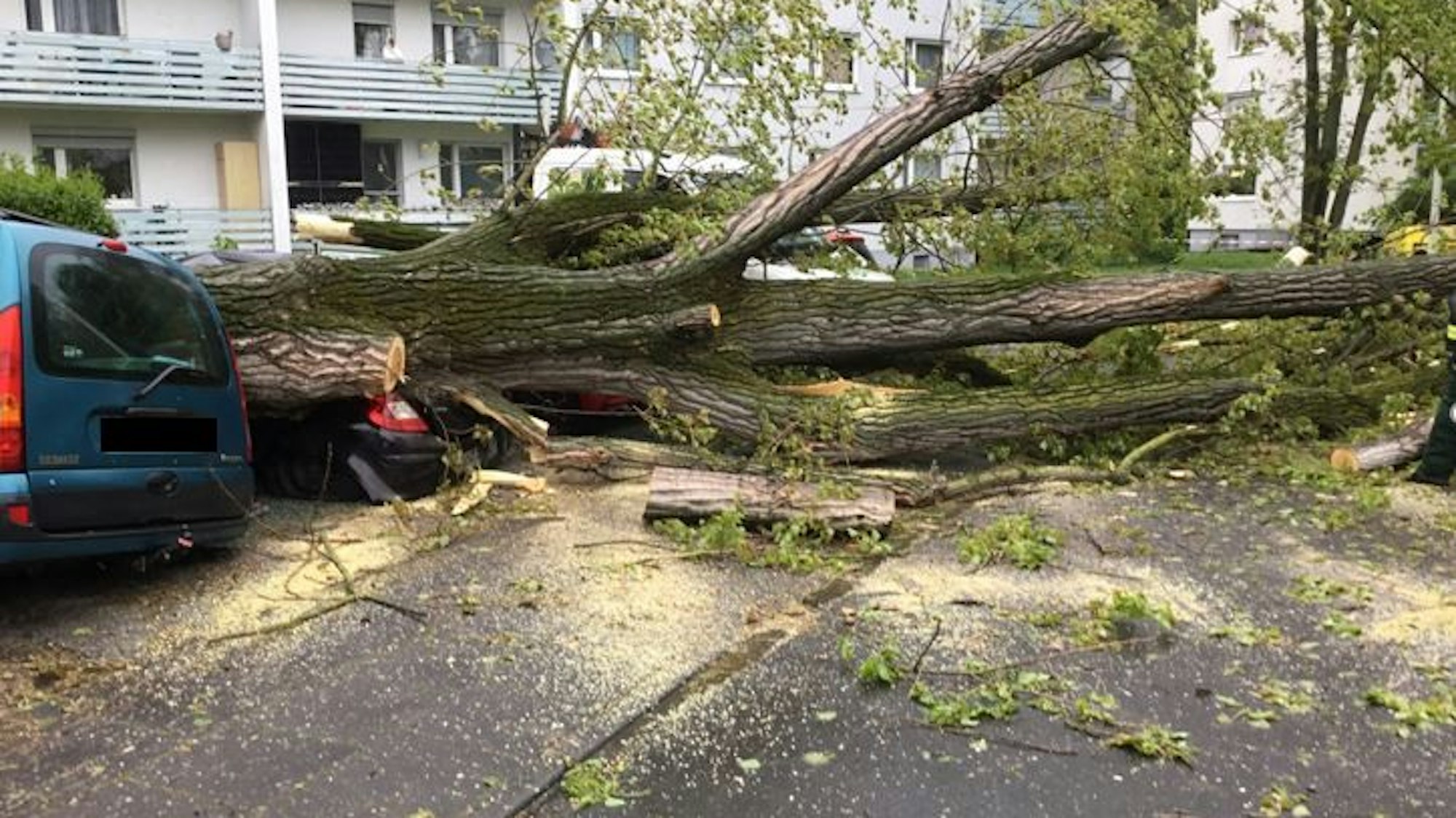 Mehrere Fahrzeuge wurden in der Nonnenstrombergstraße in Bonn von einem Baum begraben.