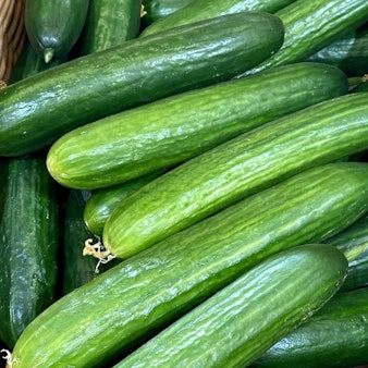 Nach dem erfolglosen Angriff Irans auf Israel gibt es in der arabischen Welt viel Spott für das Regime in Teheran – auch Gurken spielen dabei eine Rolle. (Symbolbild)