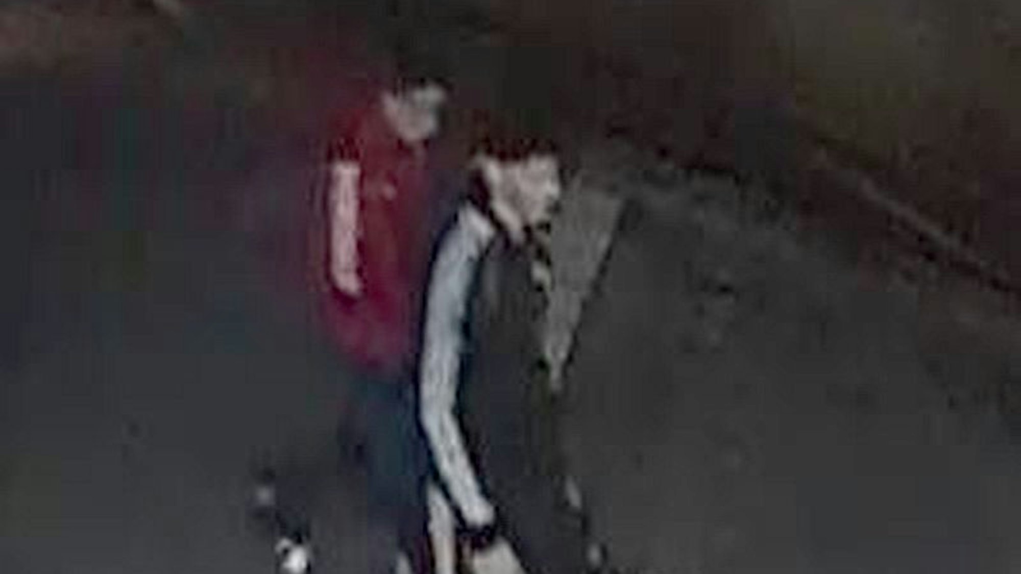 Die Polizei sucht mit einem Fahndungsfoto nach zwei Männern.