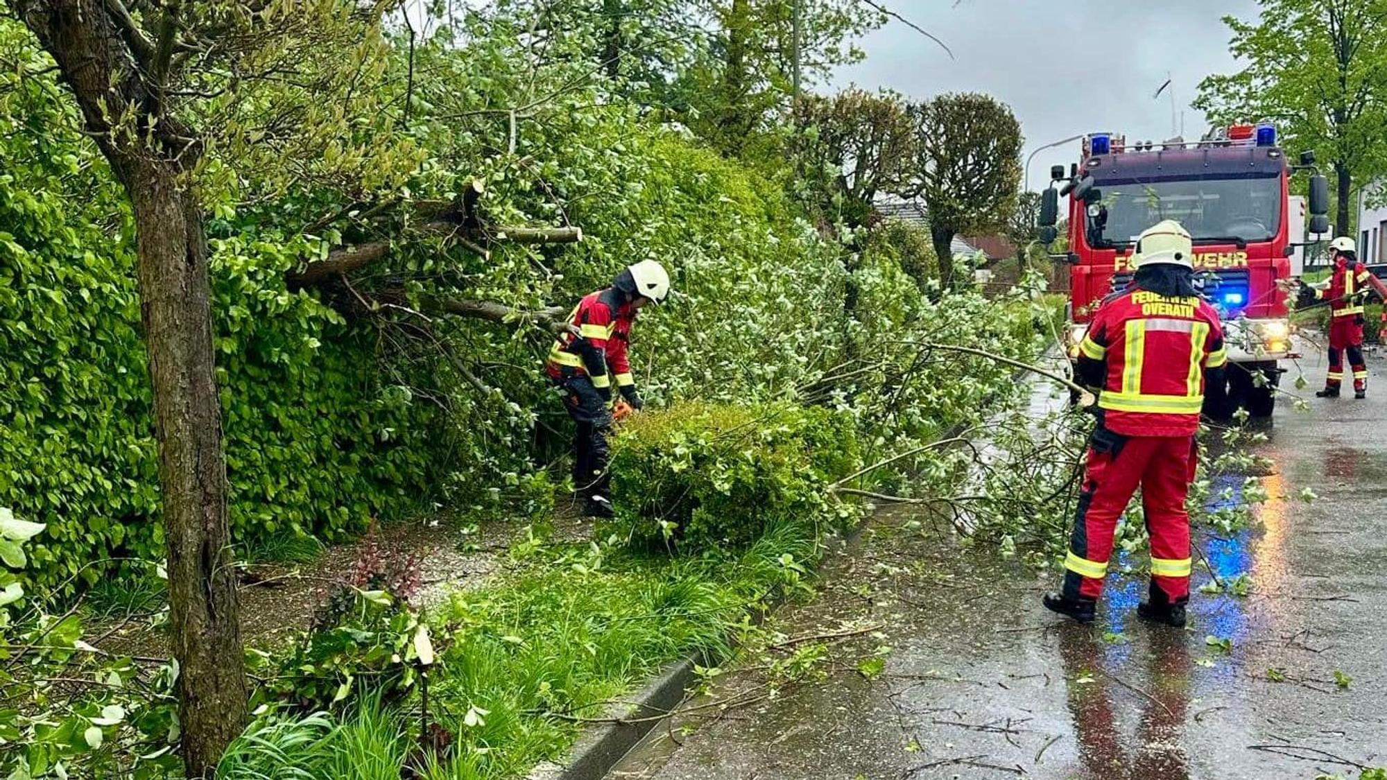 Feuerwehrleute schaffen einen umgestürzten und dann zersägten Baum von einer Straße in Overath.