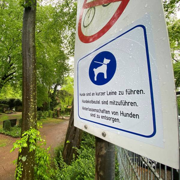 Auf dem Bild ist ein Hinweisschild zu sehen, das Hunde erlaubt.