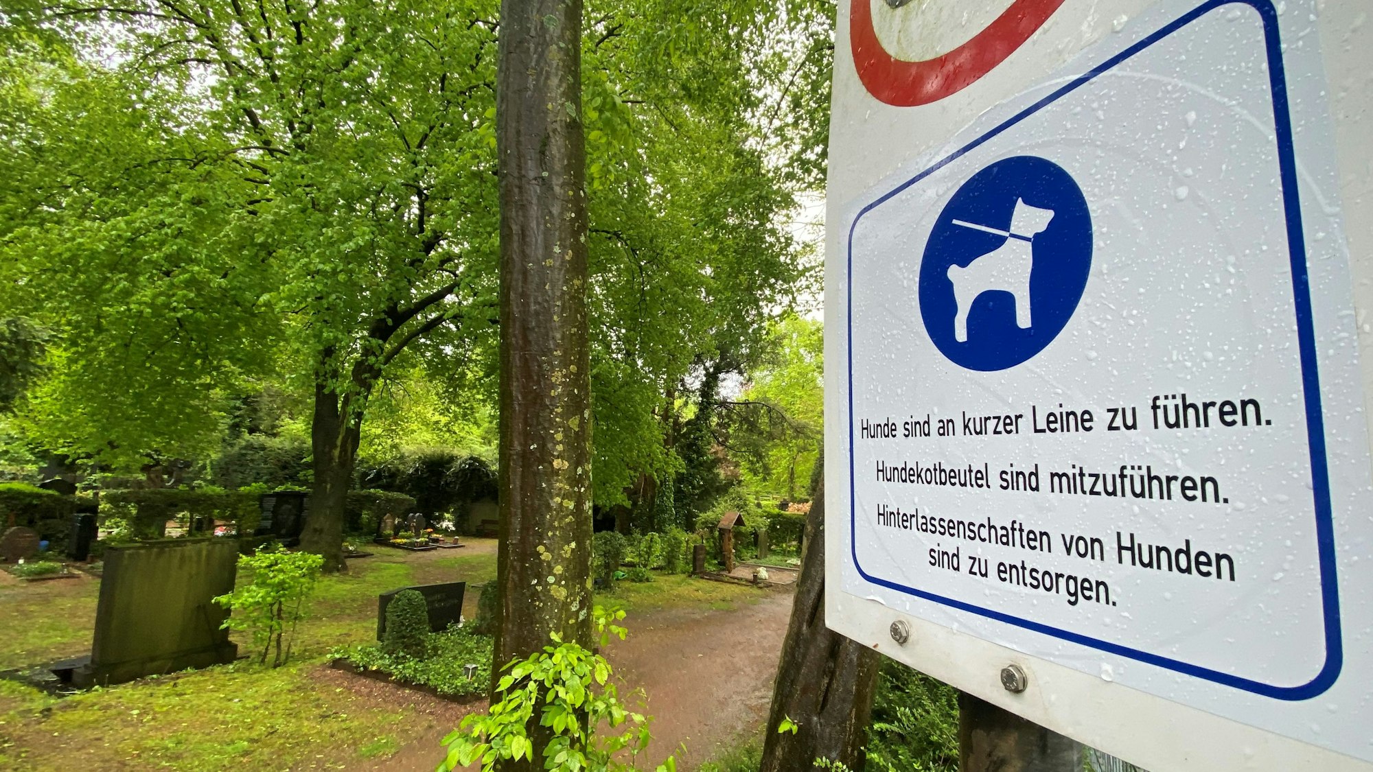 Auf dem Bild ist ein Hinweisschild zu sehen, das Hunde erlaubt.