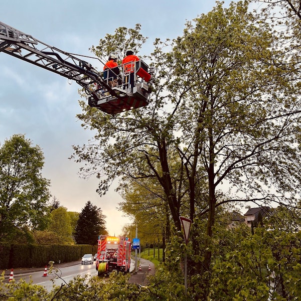 Zwei Feuerwehrleute sägen vom Korb einer Drehleiter aus Äste ab.
