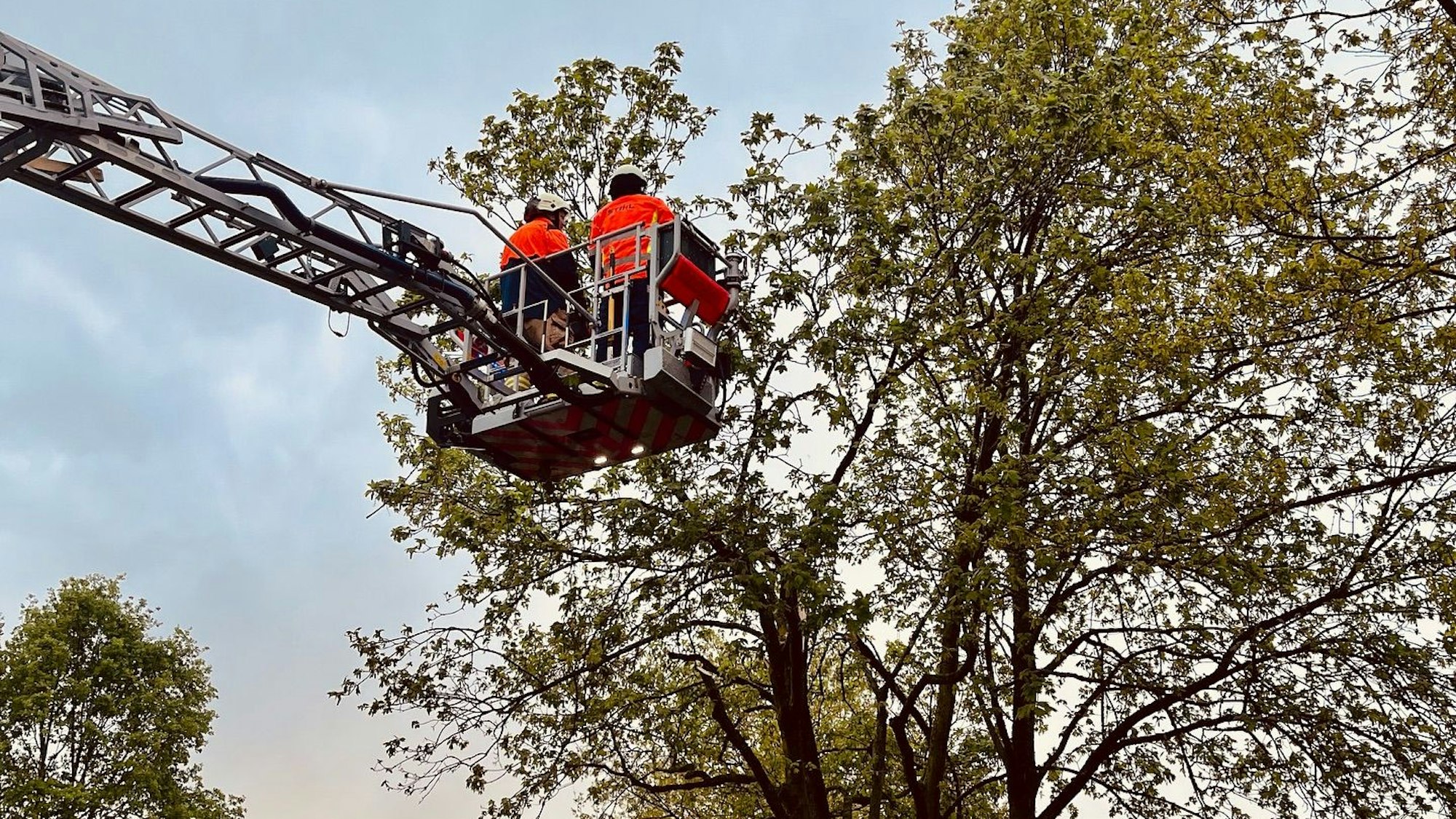 Zwei Feuerwehrleute sägen vom Korb einer Drehleiter aus Äste ab.