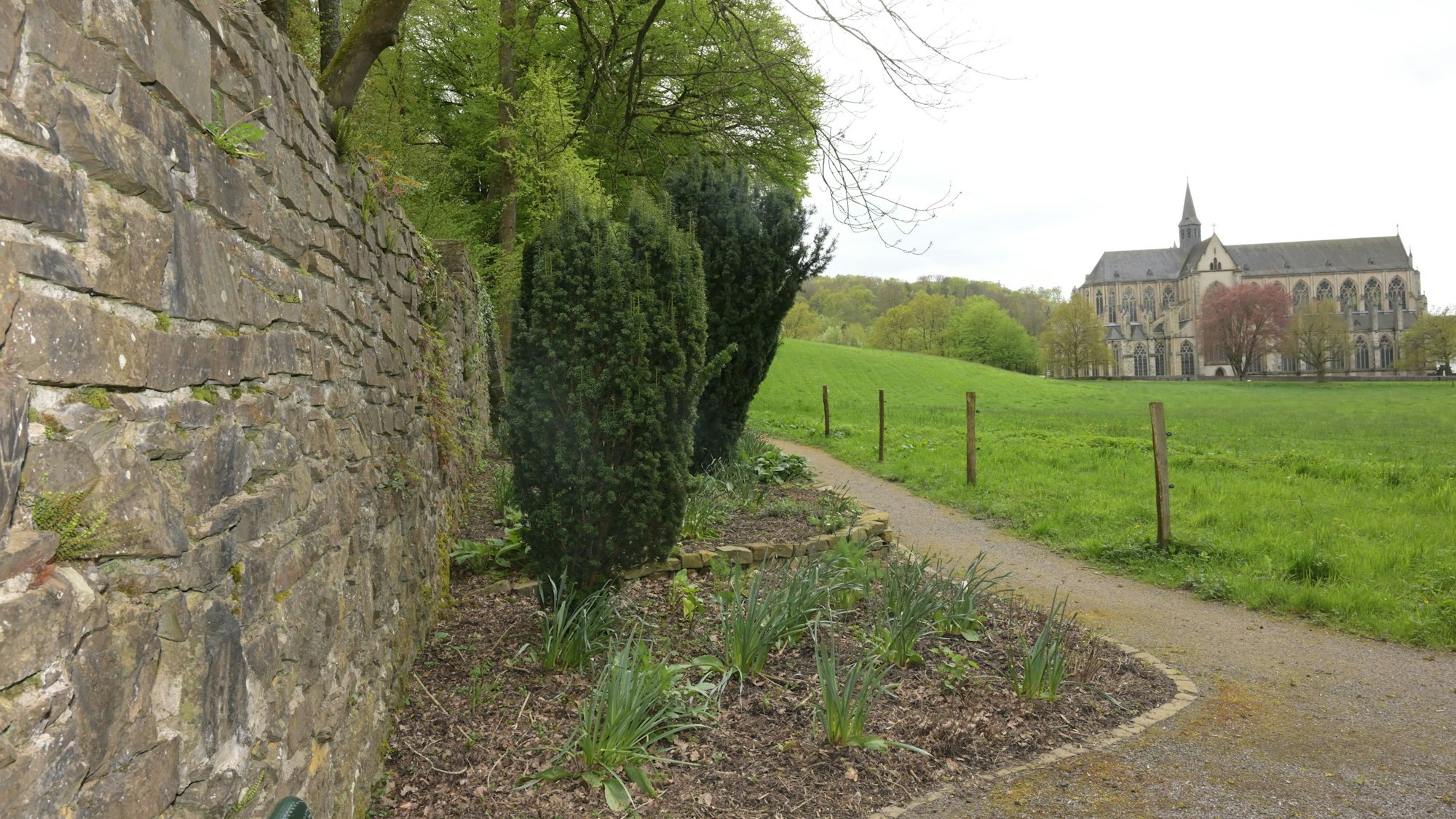 Blick auf den Altenberger Dom.