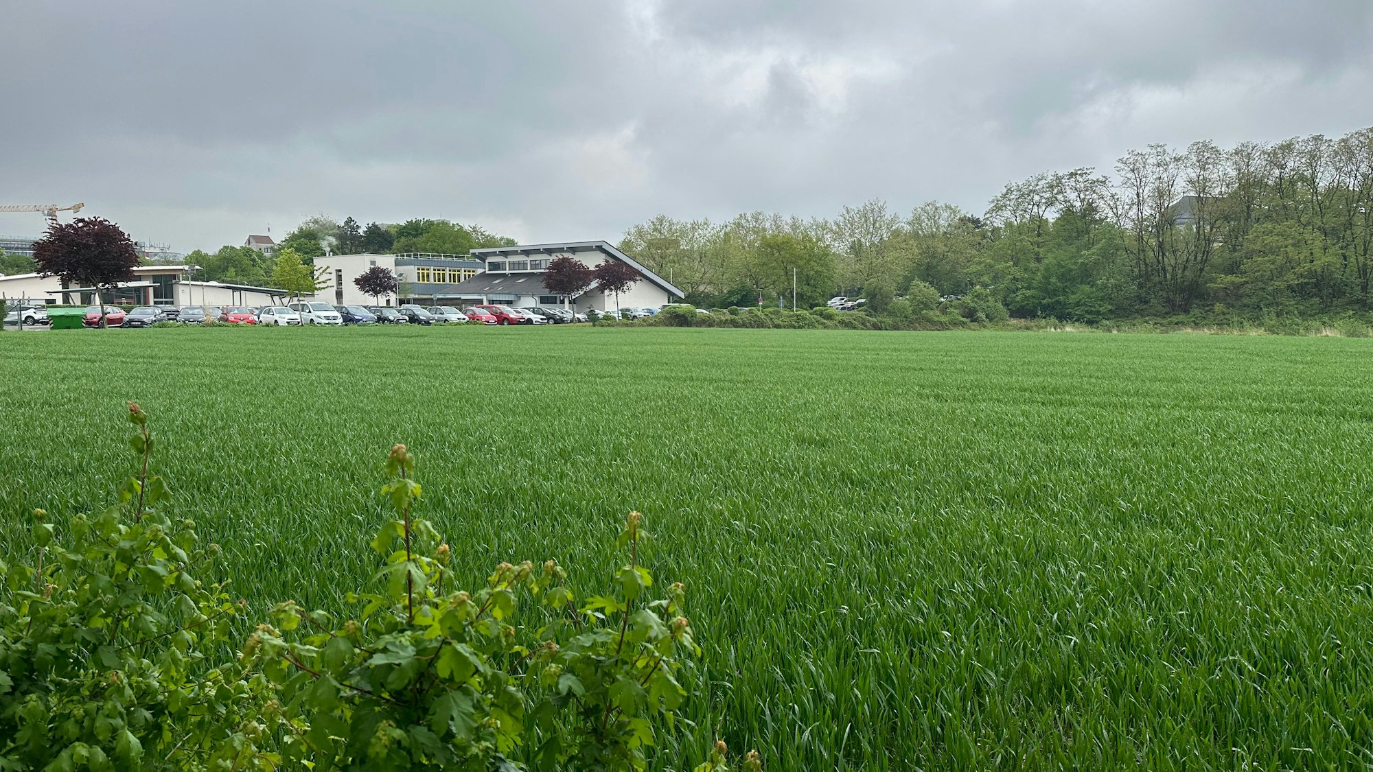 Ein grünes Feld, im Hintergrund ein Gebäude.