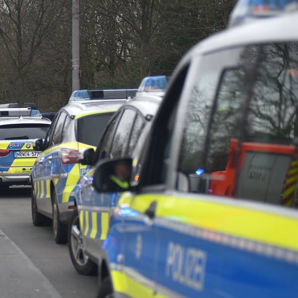 Streifenwagen der Polizei stehen hintereinander geparkt auf einer Straße.