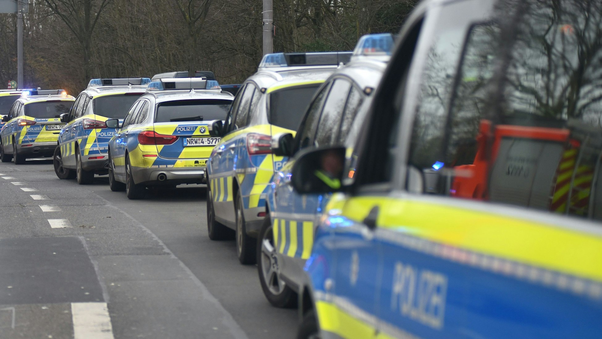 Streifenwagen der Polizei stehen hintereinander geparkt auf einer Straße.