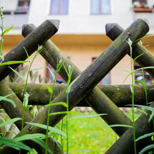 Ein Zaun vor einem Haus mit Garten