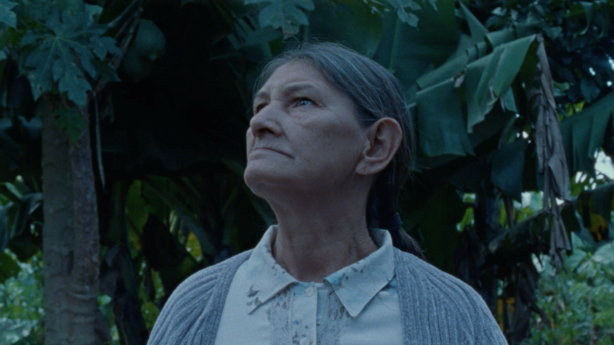 „Nuestra Sombra“, Abschlussfilm von Agustina Sánchez Gavier an der Kunsthochschule für Medien Köln