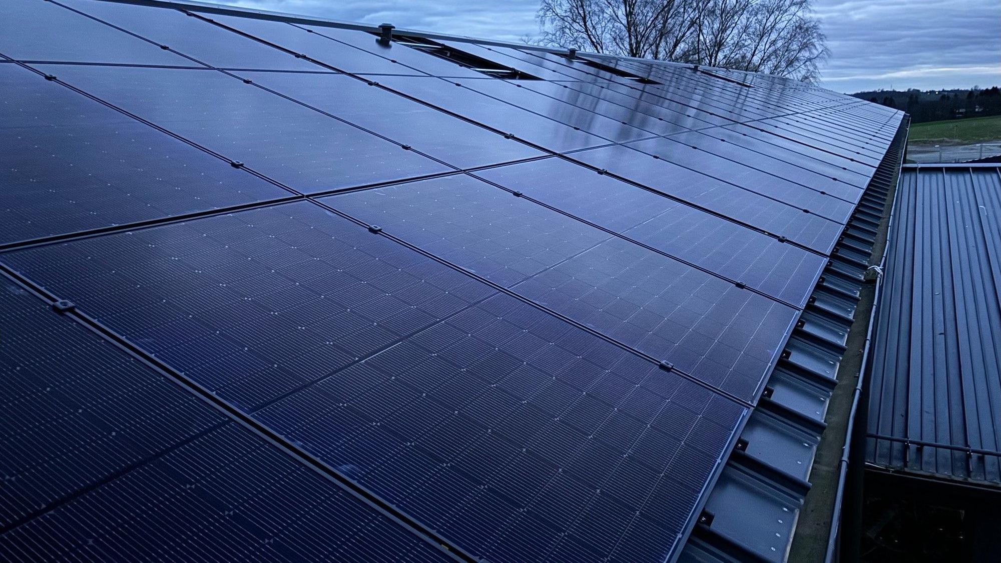 Das Foto zeigt Solarmodule auf dem Dach des Dietrich-Bonhoeffer-Gymnasiums Bergisch Gladbach
