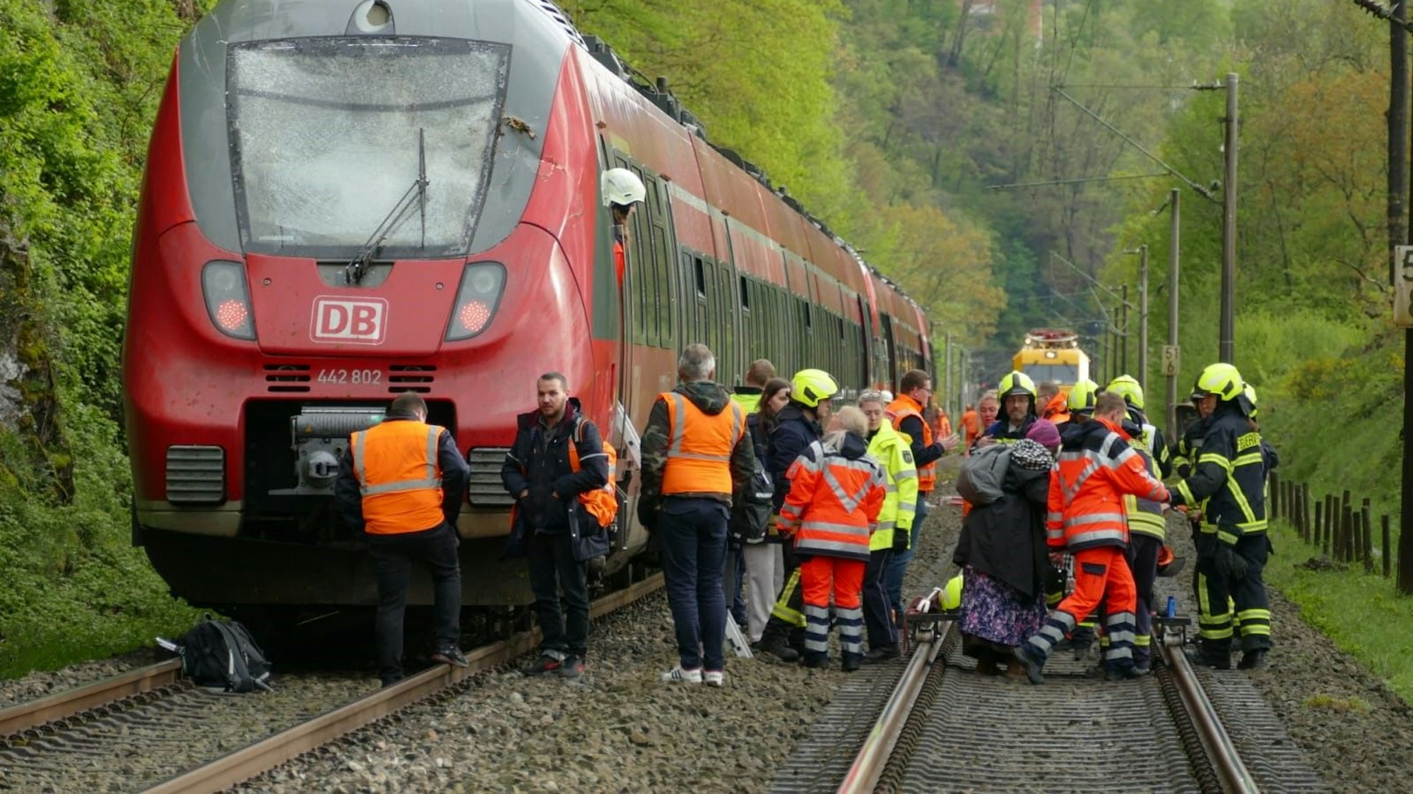 Gegen 15.30 Uhr krachte der Zug gegen den über die Strecke hängenden Baum, die Frontscheibe zersplitterte.