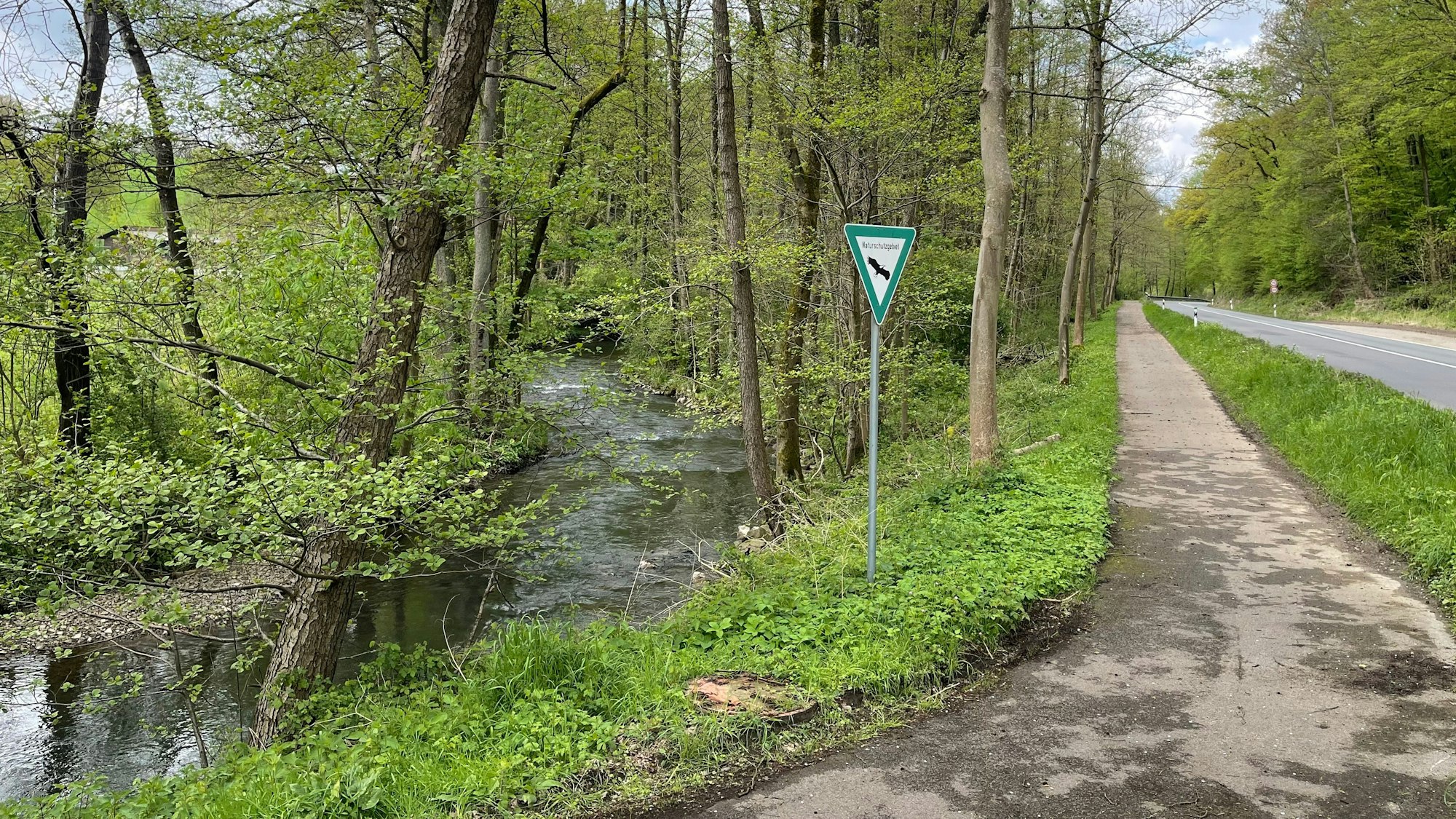 Ein geschwungener Radweg in einem Naturschutzgebiet führt entlang eines plätschernden Flusses, der von Bäumen gesäumt ist.