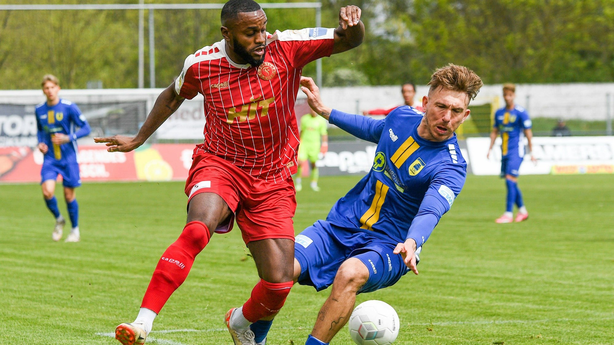 v.li.: Arnold Budimbu Fortuna Köln, 17, Vincent Geimer 1. FC Düren, 7, Zweikampf, Duell, duel, tackle, tackling, Dynamik, Action, Aktion, 20.04.2024, Düren Deutschland, Fussball, Regionalliga West, 1. FC Düren - SC Fortuna Köln *** v li Arnold Budimbu Fortuna Köln, 17 , Vincent Geimer 1 FC Düren, 7 , duel, duel, tackle, tackling, dynamics, action, action, 20 04 2024, Düren Germany , Football, Regionalliga West, 1 FC Düren SC Fortuna Köln xmhx