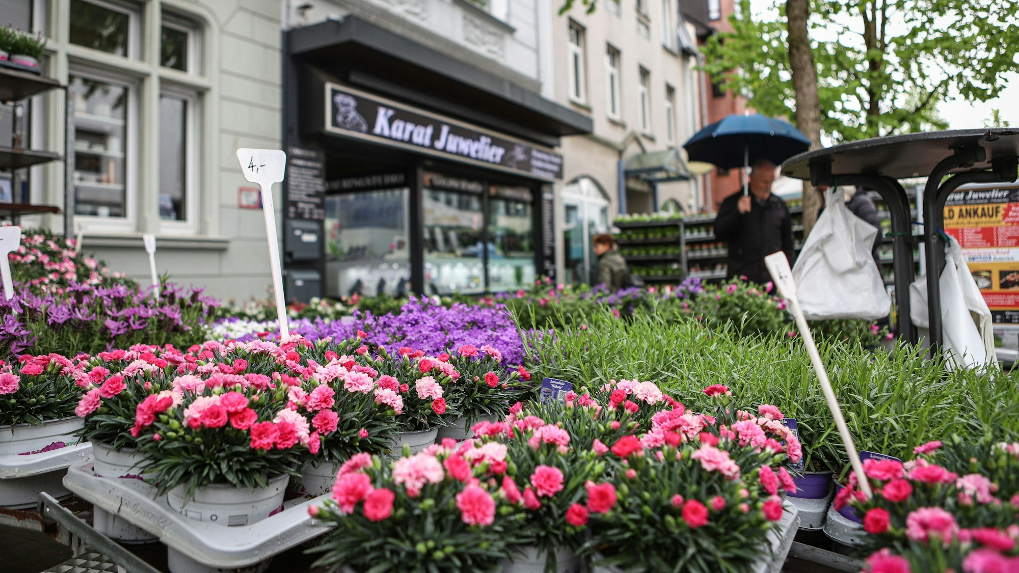 Blumen in der Schlebuscher Fußgängerzone