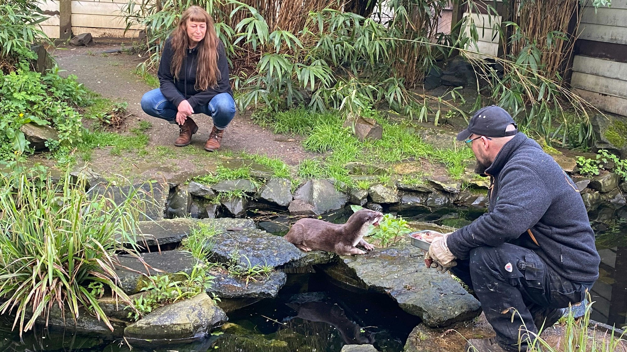 Fischottergehege im Wildpark Reuschenberg.