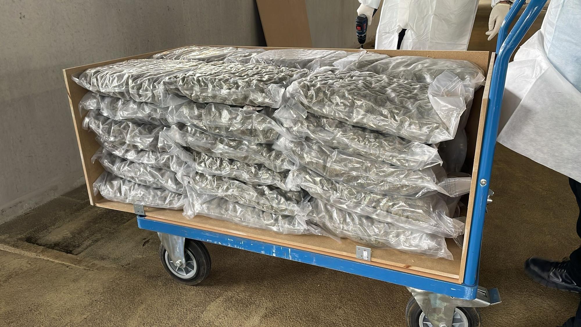 Das von der Bonner Polizei sichergestellte Marihuana.