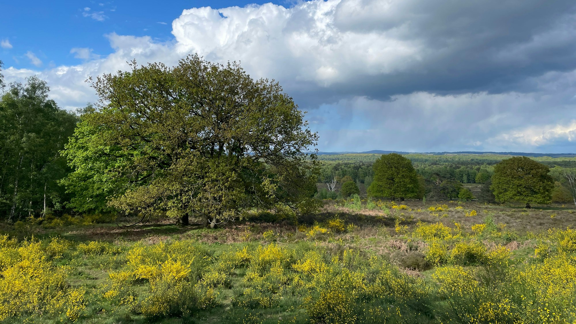 Ausblick vom Telegrafenberg