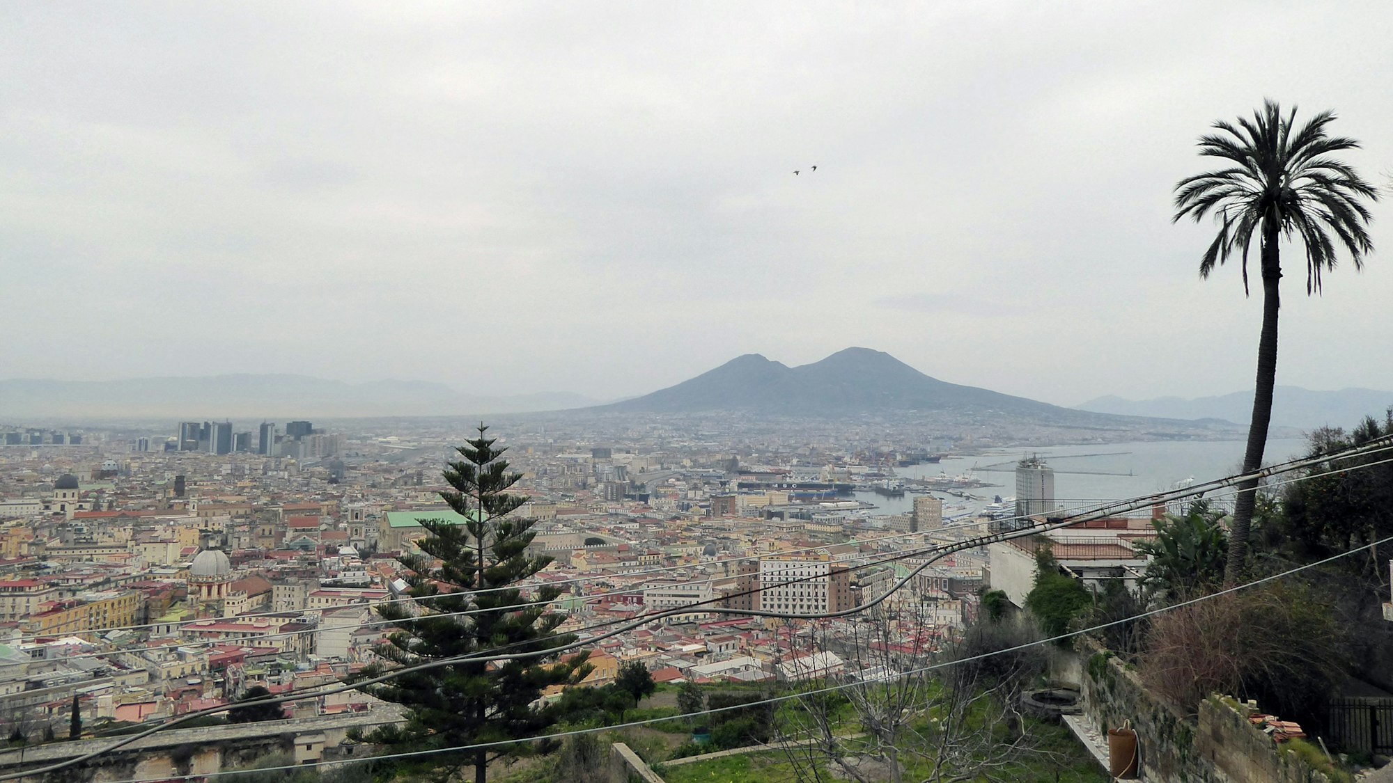 Die 27-Jährige sei in der Nacht auf Montag mit einem gemieteten Fahrrad auf einer Straße unweit der Piazza Cavour im Zentrum der süditalienischen Großstadt Neapel mit einem Müllwagen kollidiert.