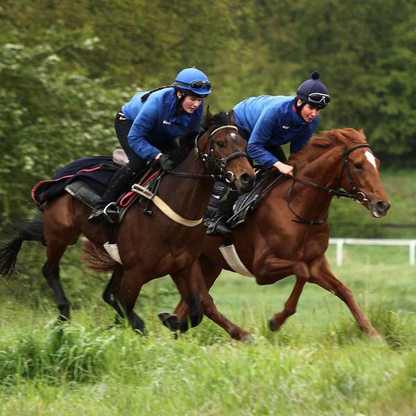 Zwei Jockeys sind auf Pferden in schnellen Tempo unterwegs. Im Hintergrund sieht man die Umrandungen einer Rennstrecke.