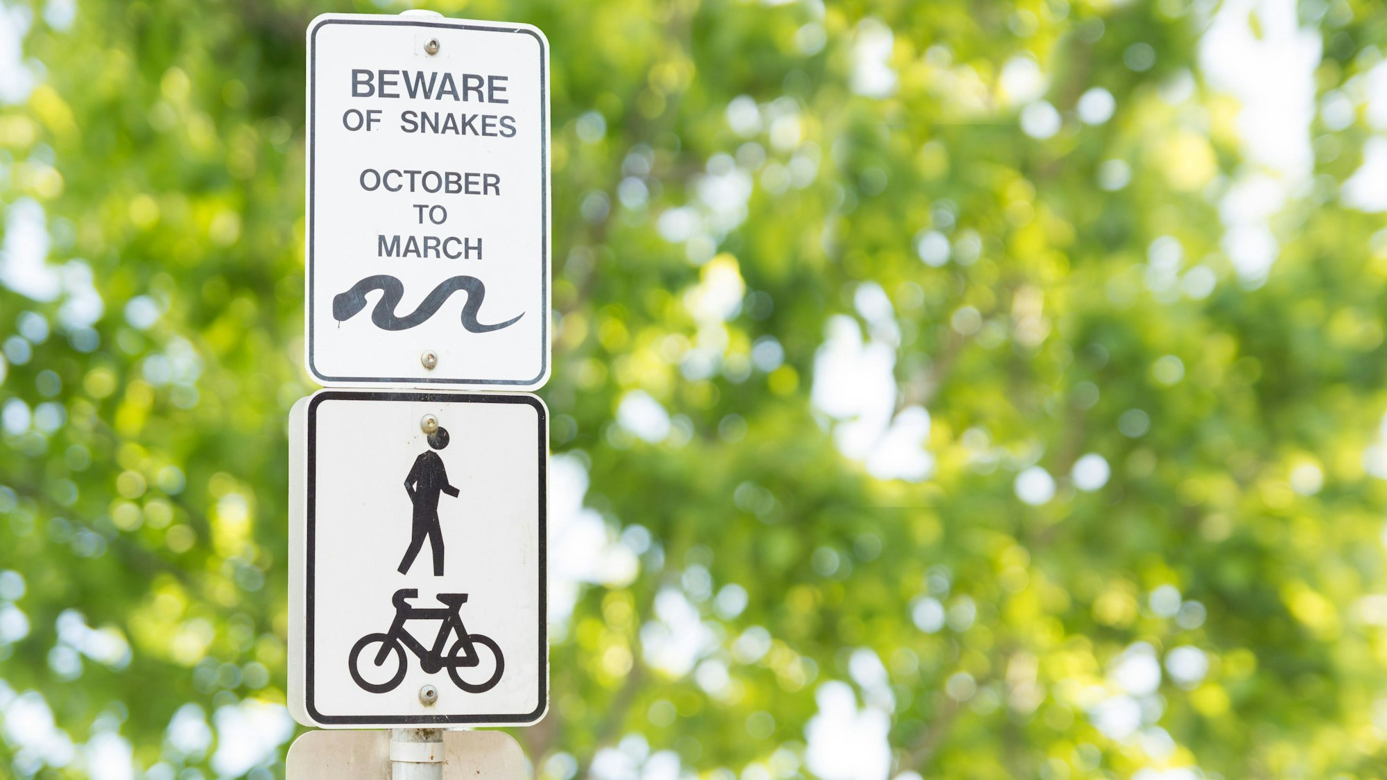 Schilder warnen in einem australischen Park vor Schlangen.