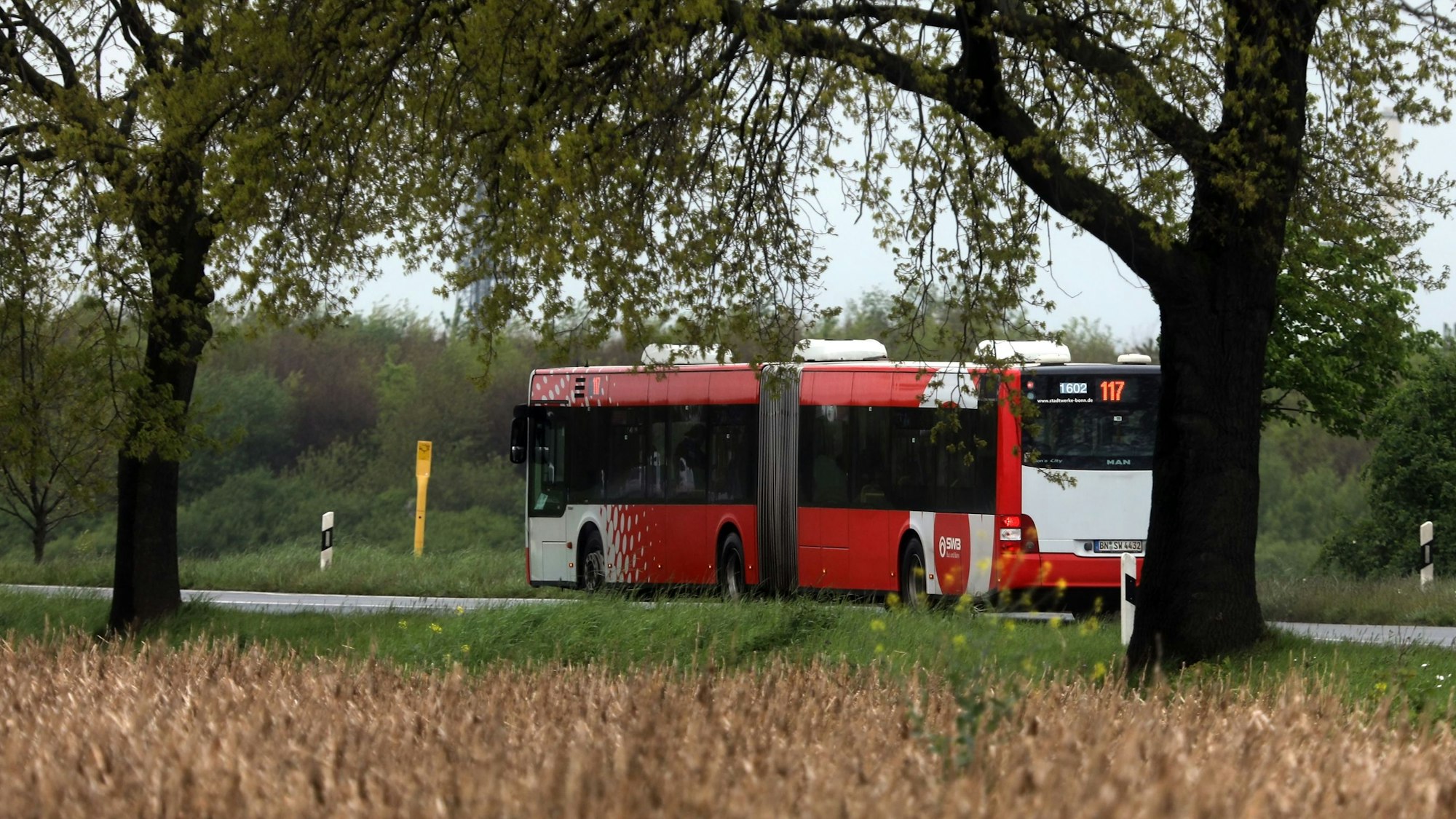 Buslinie 117 in Köln.