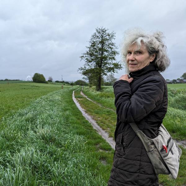 Die Ratsfrau Inge Cürten-Noack von den Grünen steht auf einem Feldweg vor einem Ackerstreifen, auf dem junge Bäume gepflanzt worden sind.