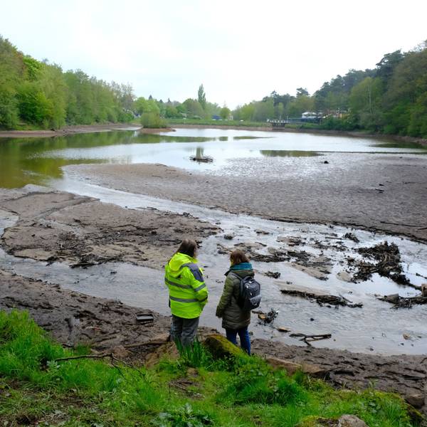 Der Kommerner Mühlensees hat kaum noch Wasser, viele Stellen treten inselartig hervor. Zwei Personen stehen am Rand.