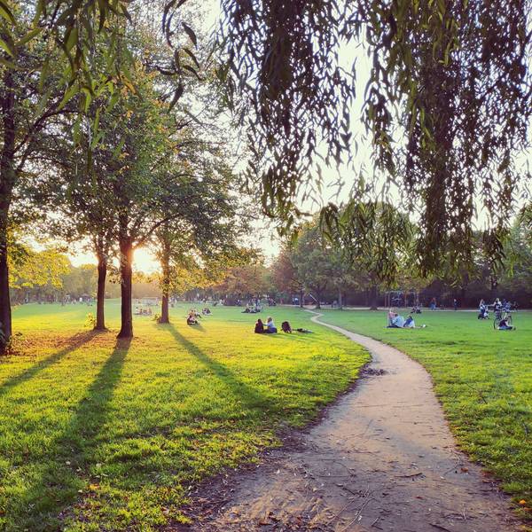 Park bei Sonnenuntergang