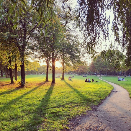 Park bei Sonnenuntergang