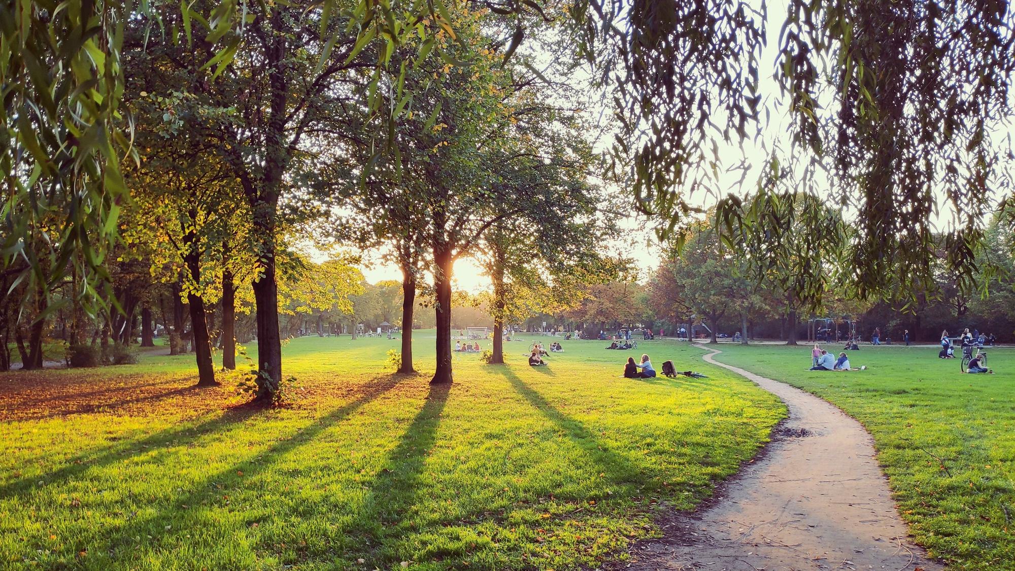 Park bei Sonnenuntergang