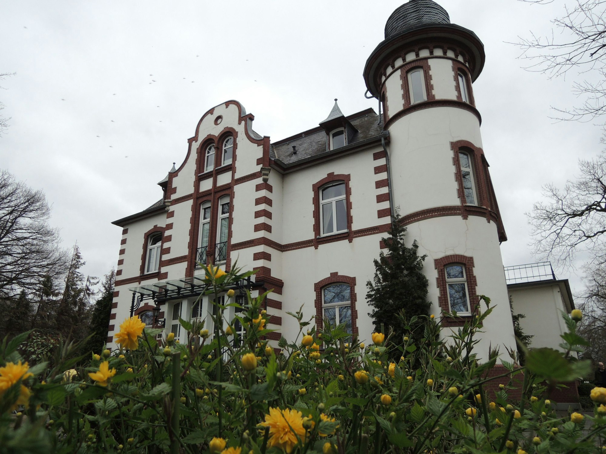 Gelbe Blumen stehen vor dem Hotel und Restaurant „Sophienhöhe“ in Kerpen.