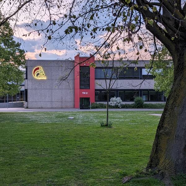 Eine Wiese mit Bäumen vor der Fassade des Albert-Schweitzer-Gymnasiums bei Dämmerung.