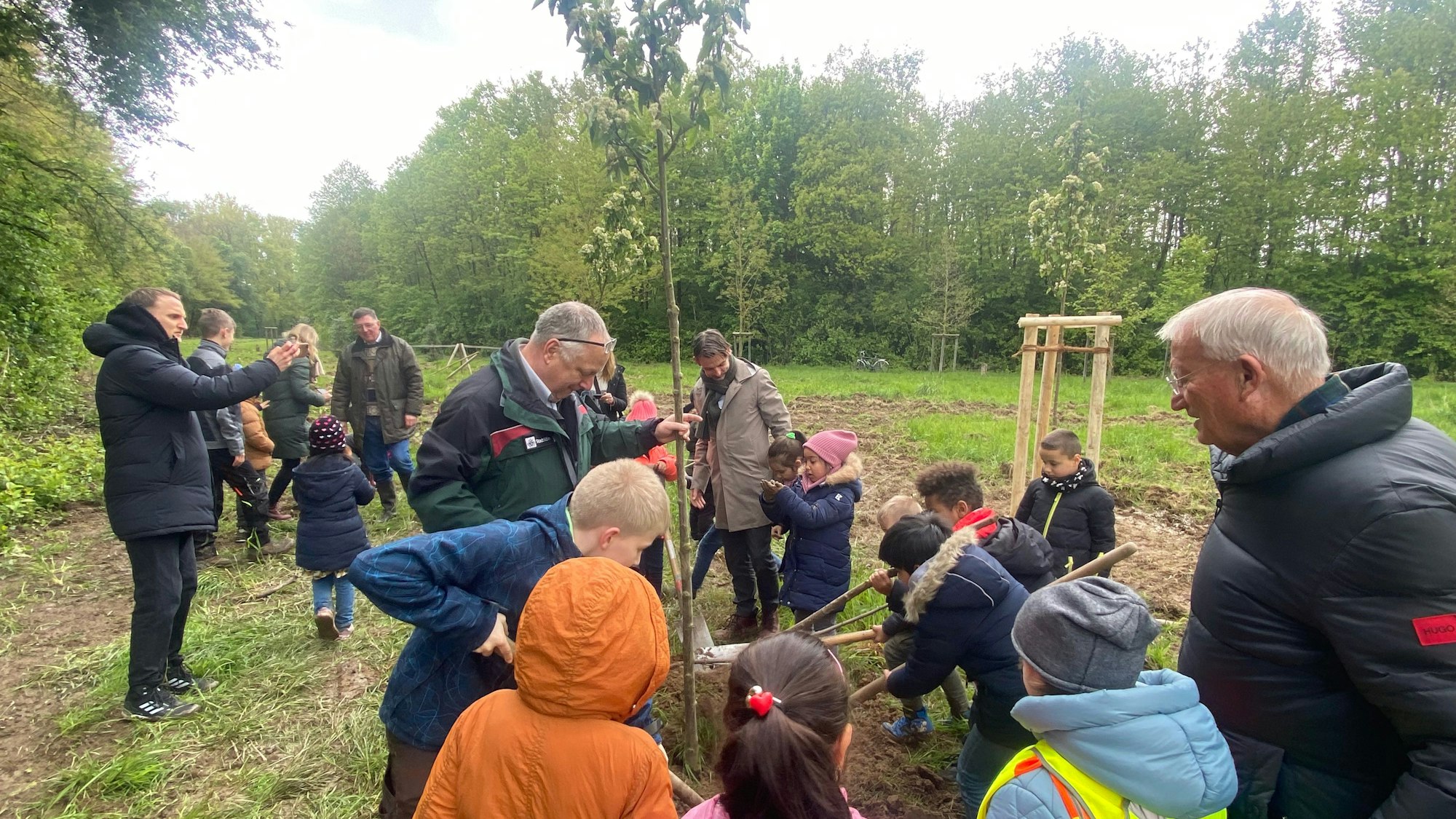 Drei Exemplare der Mehlbeere, die Baum des Jahres 2024 ist, wurden auf Gut Leisenhausen an der Allee der Jahresbäume gepflanzt.