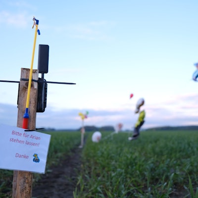 Ballons, Süßigkeiten und eine Wildkamera stehen auf einem Feld bei Bremervörde. Von einem vermissten sechs Jahre alten Jungen aus dem niedersächsischen Bremervörde fehlt noch immer jede Spur.