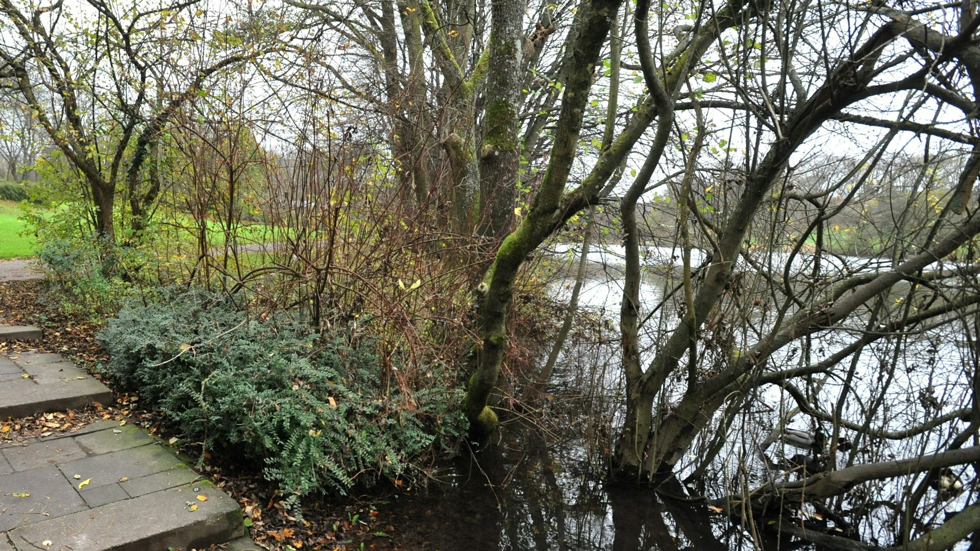 Der Ophovener Weiher