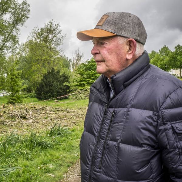 Heinz Brinkschulte sorgt sich um Pappeln und Hochwasserschutz. Foto: Ralf Krieger